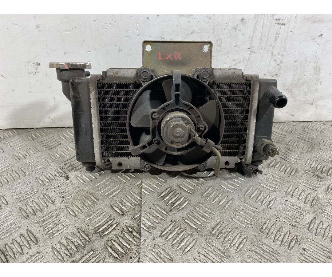 Radiatore Completo Peugeot LXR 200 dal 2009 al 2014  1742288581770