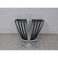 Griglia Anteriore Radiatore Piaggio MP3 300 Hybrid dal 2010 al 2016 cod 655793  1620204995941