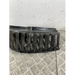 Carena Griglia Radiatore Sinistra Sx Qooder Quadro3 Dal 2015 Al 2018  1742393983711