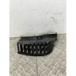 Carena Griglia Radiatore Destra Dx Qooder Quadro3 Dal 2015 Al 2018  1742394250058