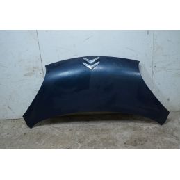 Cofano Anteriore Citroen C1 Dal 2005 al 2014 Cod 1611149480  1742458431478