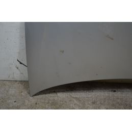 Cofano Anteriore Volkswagen Polo 9N2  Dal 2005 al 2009 Cod 6Q0823031J  1742460933700