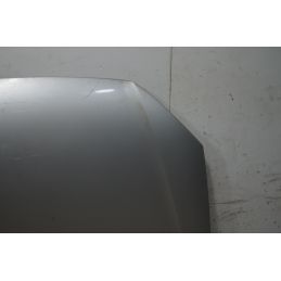 Cofano Anteriore Volkswagen Polo 9N2  Dal 2005 al 2009 Cod 6Q0823031J  1742460933700