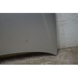 Cofano Anteriore Volkswagen Polo 9N2  Dal 2005 al 2009 Cod 6Q0823031J  1742460933700