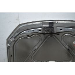 Cofano Anteriore Volkswagen Polo 9N2  Dal 2005 al 2009 Cod 6Q0823031J  1742460933700