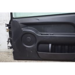 Portiera sportello DX Aixam Cityvisoin GT Dal 2013 al 2016  1742464993267