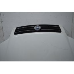 Cofano Anteriore Fiat Punto 188 Dal 2003 al 2011 Cod 51741257  1742461578276
