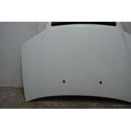 Cofano Anteriore Fiat Punto 188 Dal 2003 al 2011 Cod 51741257  1742461578276