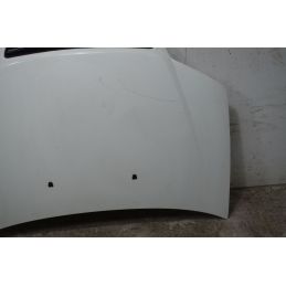 Cofano Anteriore Fiat Punto 188 Dal 2003 al 2011 Cod 51741257  1742461578276