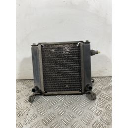 Radiatore Con Elettroventola Kymco Downtown 200 dal 2008 al 2017  1742478763917