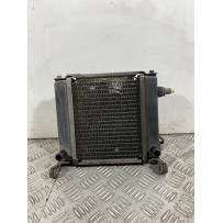 Radiatore Con Elettroventola Kymco Downtown 200 dal 2008 al 2017  1742478763917