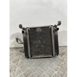 Radiatore Con Elettroventola Kymco Downtown 200 dal 2008 al 2017  1742479462581