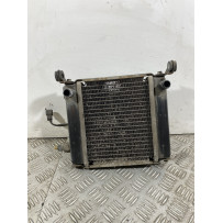 Radiatore Con Elettroventola Kymco Downtown 200 dal 2008 al 2017  1742479462581