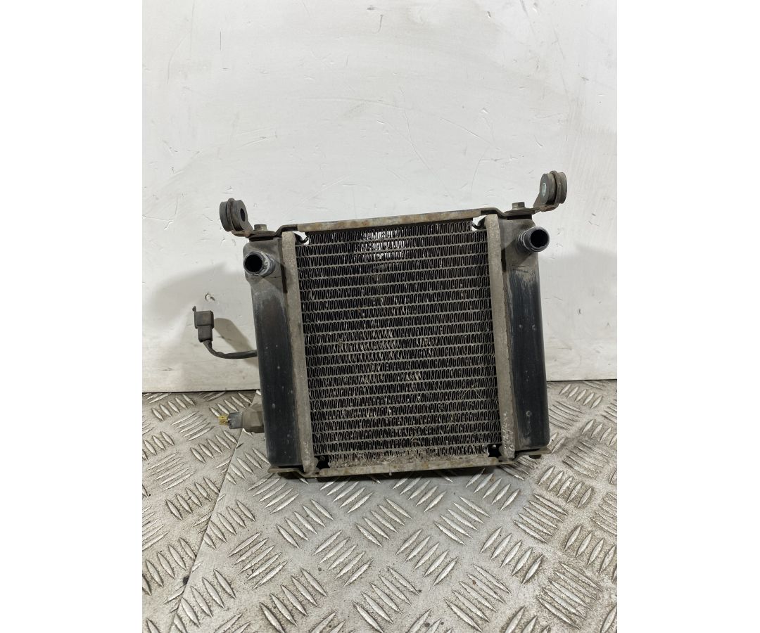 Radiatore Con Elettroventola Kymco Downtown 200 dal 2008 al 2017  1742479462581