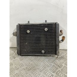 Radiatore Aprilia Sportcity 125 dal 2008 al 2012 COD 8104721  1742487510830