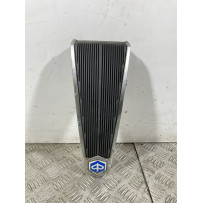 Carena Scudetto Anteriore Piaggio Liberty 50 4t dal 2004 al 2016  1742544942895