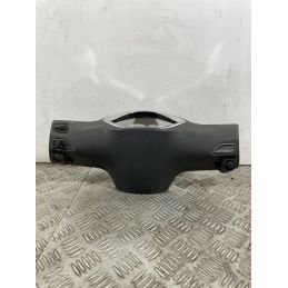 Carena Portastrumentazione Piaggio Liberty 50 4t dal 2004 al 2016  1742547461713