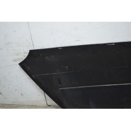 Pannello porta esterno SX Smart Fortwo W450 Dal 2004 al 2007 Cod A4517220109CA7L  1742571600300