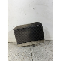 Radiatore Con Elettroventola Suzuki Burgman 400 K7 dal 2007 al 2013  1742822221292