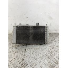 Radiatore Con Elettroventola Gilera Runner 125 2T Dal 1999 Al 2000  1742823851818