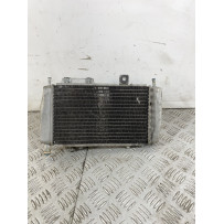 Radiatore Con Elettroventola Gilera Runner 125 2T Dal 1999 Al 2000  1742823851818