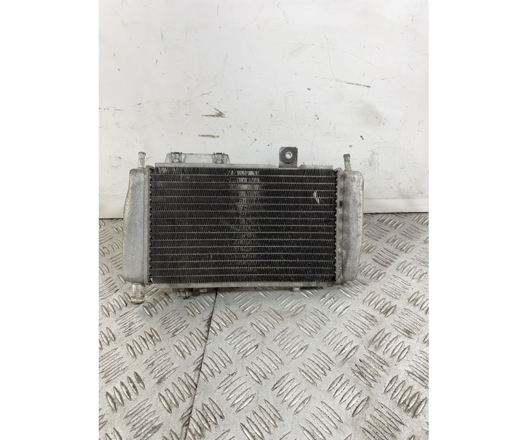 Radiatore Con Elettroventola Gilera Runner 125 2T Dal 1999 Al 2000  1742823851818