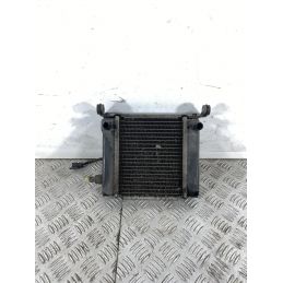 Radiatore Con Elettroventola Kymco Downtown 300 dal 2009 al 2014  1742824736497