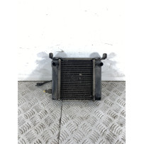 Radiatore Con Elettroventola Kymco Downtown 300 dal 2009 al 2014  1742824736497