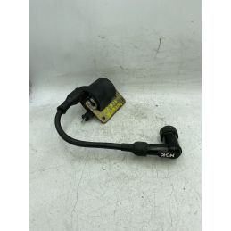 Bobina Accensione Gilera Runner 125 2T Dal 1999 Al 2000  1742829058921