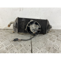 Radiatore Con Elettroventola Yamaha X-Max XMax 250 IE Dal 2005 al 2009  1743156974137