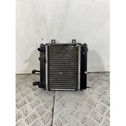 Radiatore Con Elettroventola Kymco Yup 250 Dal 2002 Al 2005  1743158021211