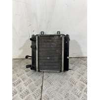 Radiatore Con Elettroventola Kymco Yup 250 Dal 2002 Al 2005  1743158021211