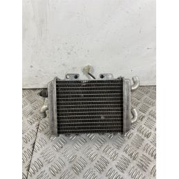 Radiatore Con Elettroventola Peugeot Elyseo 125 dal 1999 al 2002  1743161293827