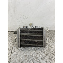 Radiatore Con Elettroventola Peugeot Elyseo 125 dal 1999 al 2002  1743161293827