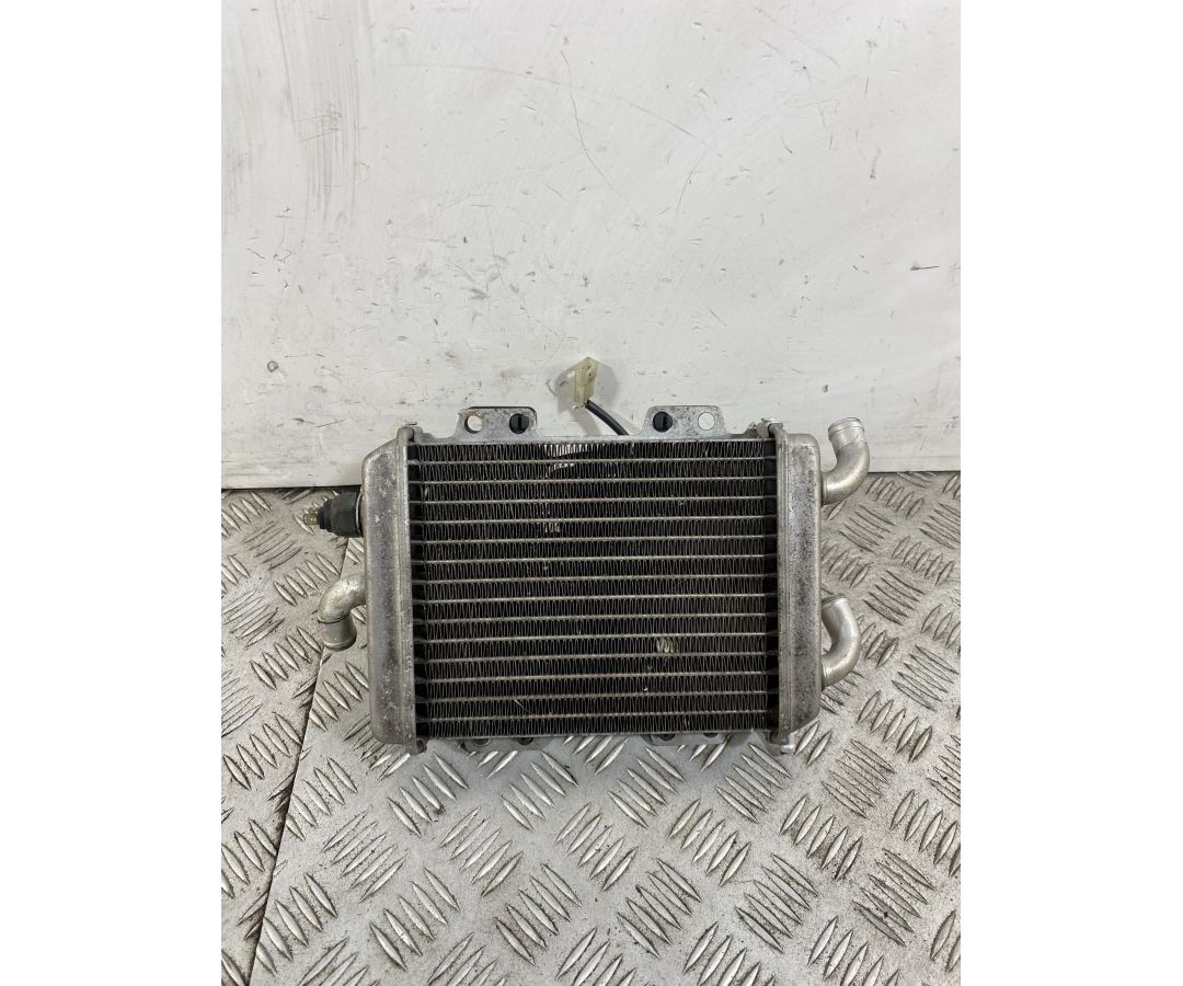 Radiatore Con Elettroventola Peugeot Elyseo 125 dal 1999 al 2002  1743161293827