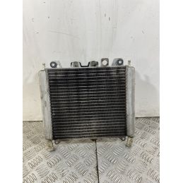 Radiatore Con Elettroventola Piaggio Beverly 300 dal 2011 al 2018  1743173366427