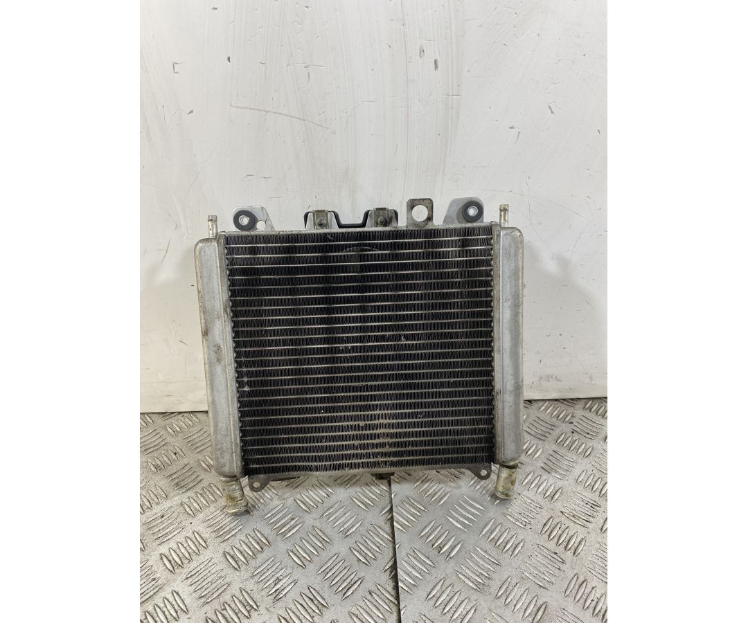 Radiatore Con Elettroventola Piaggio Beverly 300 dal 2011 al 2018  1743173366427