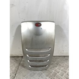Carena Scudetto Anteriore Kymco Yup 250 Dal 2002 Al 2005  1743432269025