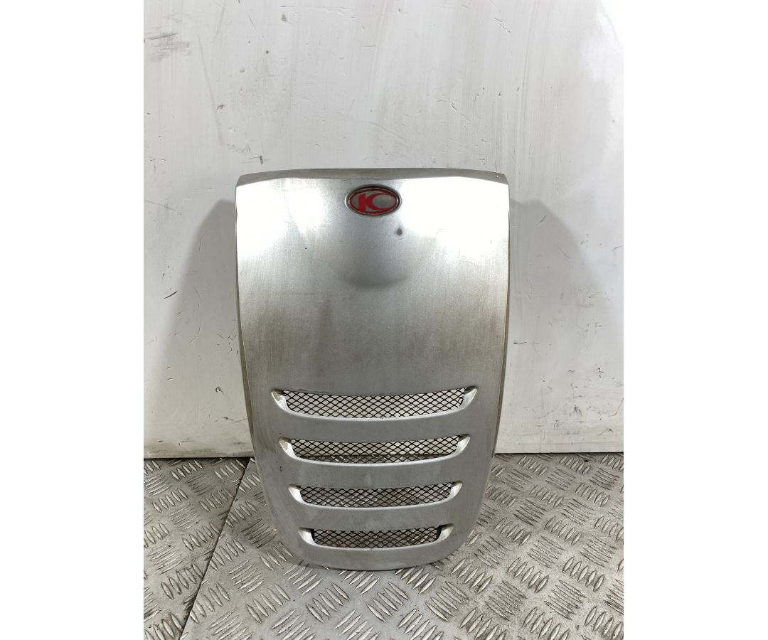 Carena Scudetto Anteriore Kymco Yup 250 Dal 2002 Al 2005  1743432269025