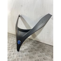 Carena Scudetto Anteriore Piaggio MP3 125 / 250 / 300 / 400 / 500 dal 2009 al 2016  1743492425591