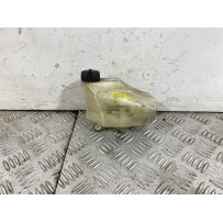 Vaschetta Liquido Radiatore BMW F800 R Dal 2009 Al 2011  1743503224793