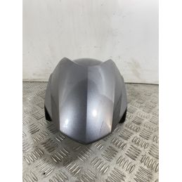 Carena Parafango Anteriore Kymco Dink 200I dal 2007 al 2017  1743512427260