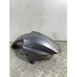 Carena Parafango Anteriore Kymco Dink 200I dal 2007 al 2017  1743512427260