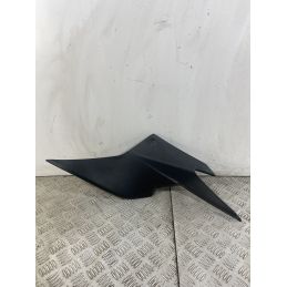 Carena Fianchetto Sottosella Destro DX Kawasaki Ninja 250R Dal 2007 Al 2017  1743690300799