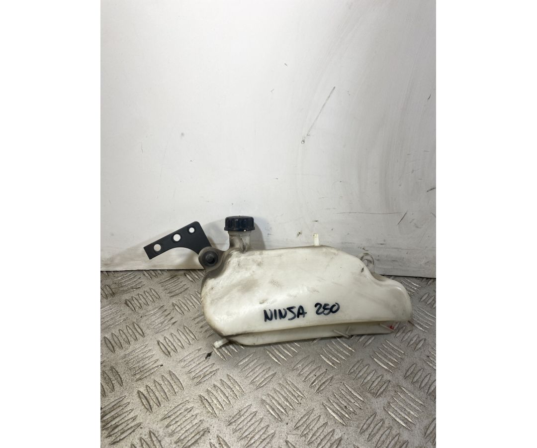 Vaschetta Acqua Kawasaki Ninja 250R Dal 2007 Al 2017  1743762835068