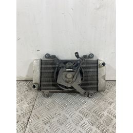 Radiatore Con Elettroventola Kawasaki Ninja 250R Dal 2007 Al 2017  1743778108415