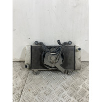 Radiatore Con Elettroventola Kawasaki Ninja 250R Dal 2007 Al 2017  1743778108415