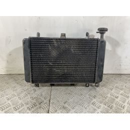 Radiatore Con Elettroventola Triumph Baby Speed 600 Dal 2002 al 2003  1744030077739