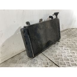 Radiatore Con Elettroventola Triumph Baby Speed 600 Dal 2002 al 2003  1744030077739