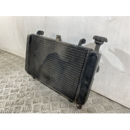 Radiatore Con Elettroventola Triumph Baby Speed 600 Dal 2002 al 2003  1744030077739